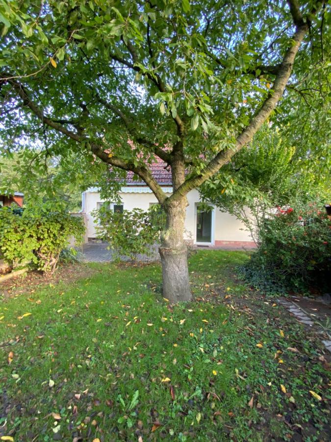 Ferienhaus Spreewald ルッカウ エクステリア 写真